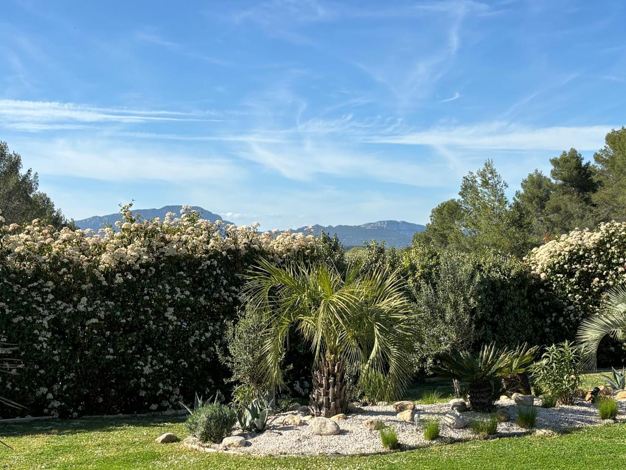 Villa Joli Havre De Paix à Prades-le-Lez Extérieur photo